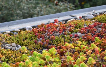 the cost of Poyston green roof installation