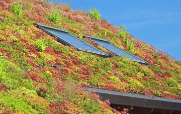 Poyston living roof systems